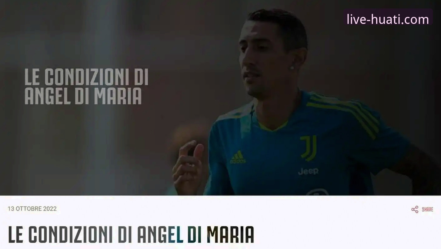 深度解析阿根廷队伤病危机：专业体育数据平台使用教程